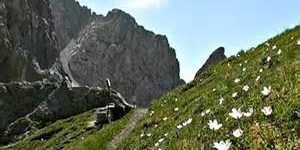 forcella di montagna