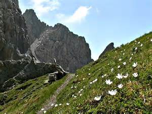 forcella di montagna