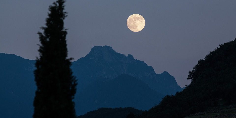 luna piena sullo sfondo e cipresso in primo piano
