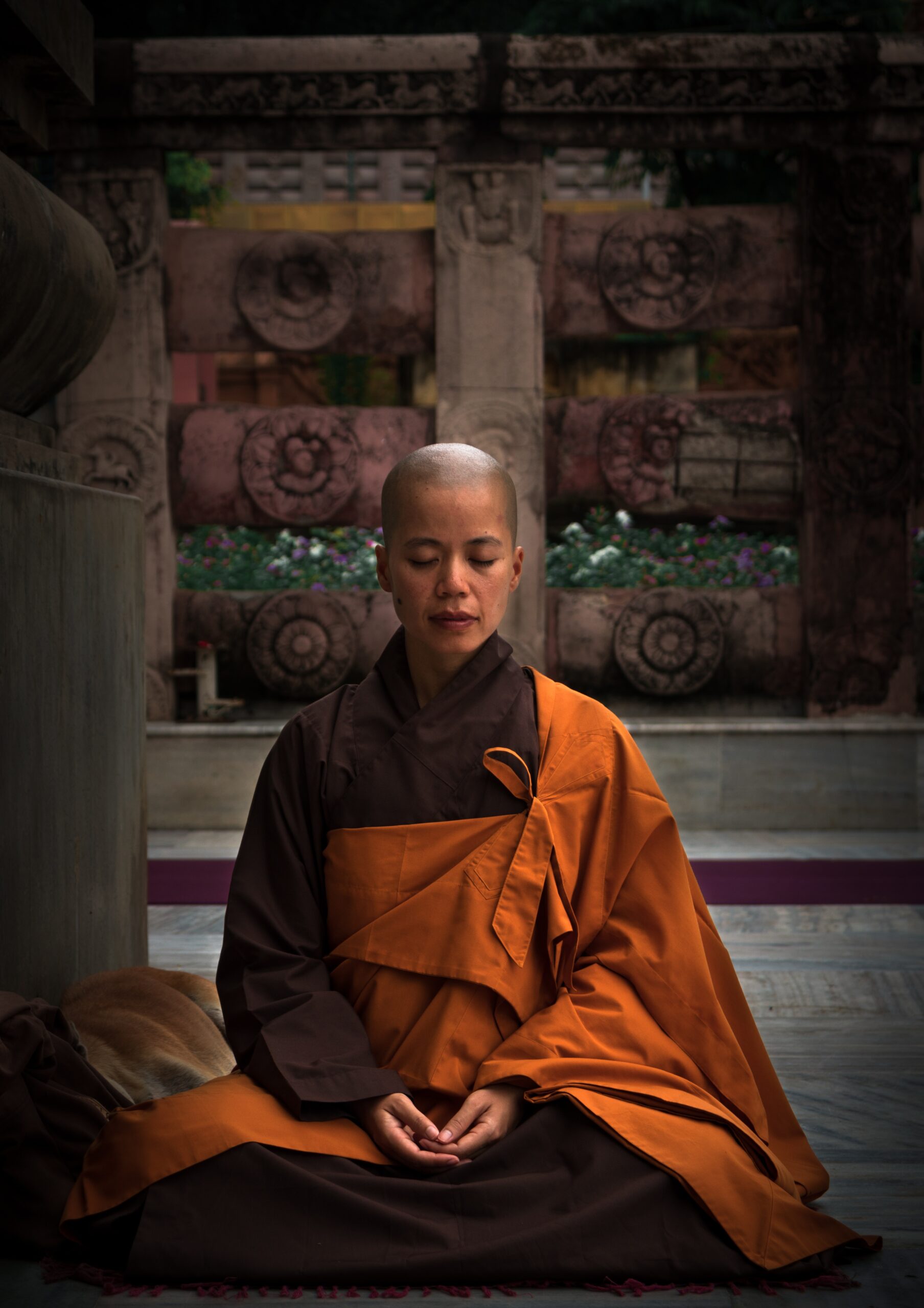 saggio in meditazione