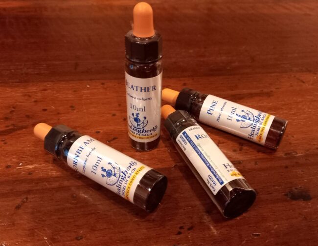 fiori di Bach - mother bottle